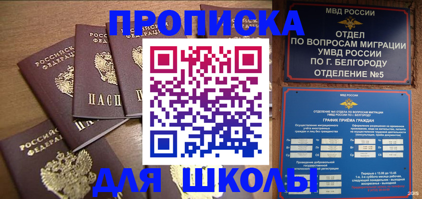 прописка гарантия в Дальнереченске
